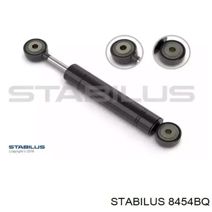 Tensor De Correa De El Amortiguador 8454BQ Stabilus