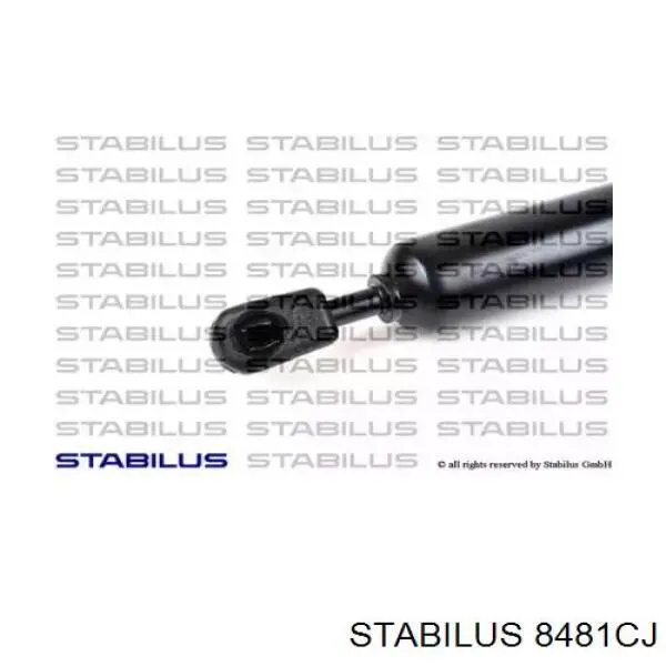 Амортизатор багажника 8481CJ Stabilus