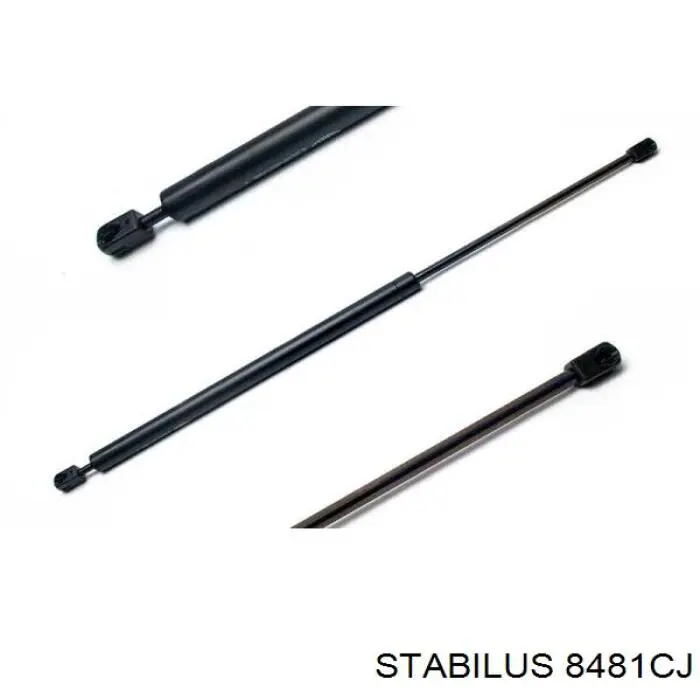 Купить 8481CJ Stabilus Амортизатор двери багажника