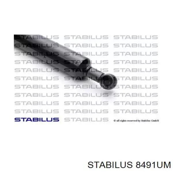 Амортизатор багажника 8491UM Stabilus