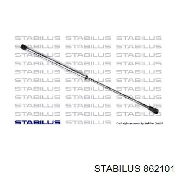  862101 Stabilus