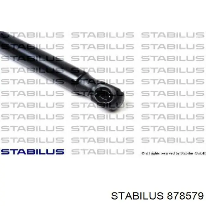 878579 Stabilus