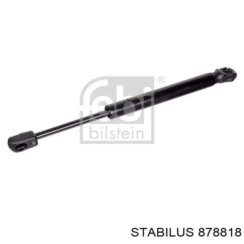 878818 Stabilus