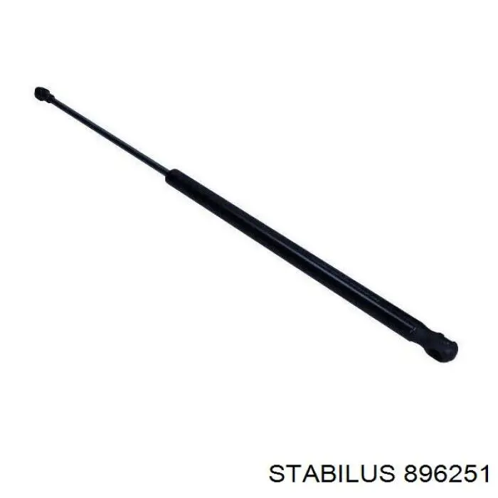 Амортизатор задней двери Ashika ZSA06010 цена, от 11.01 USD