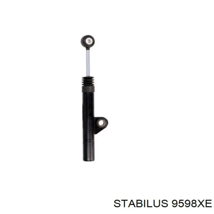 9598XE Stabilus 
