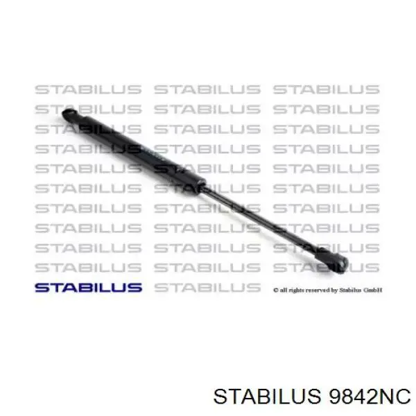 Амортизатор капота 9842NC Stabilus