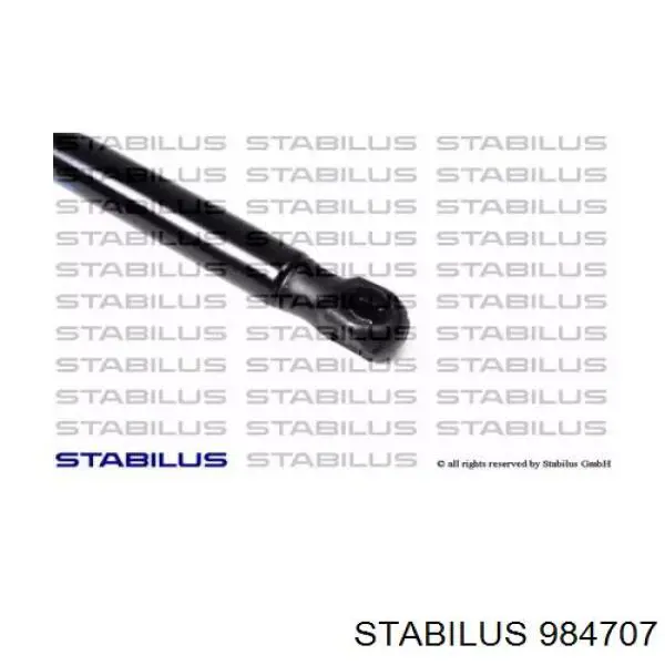  984707 Stabilus