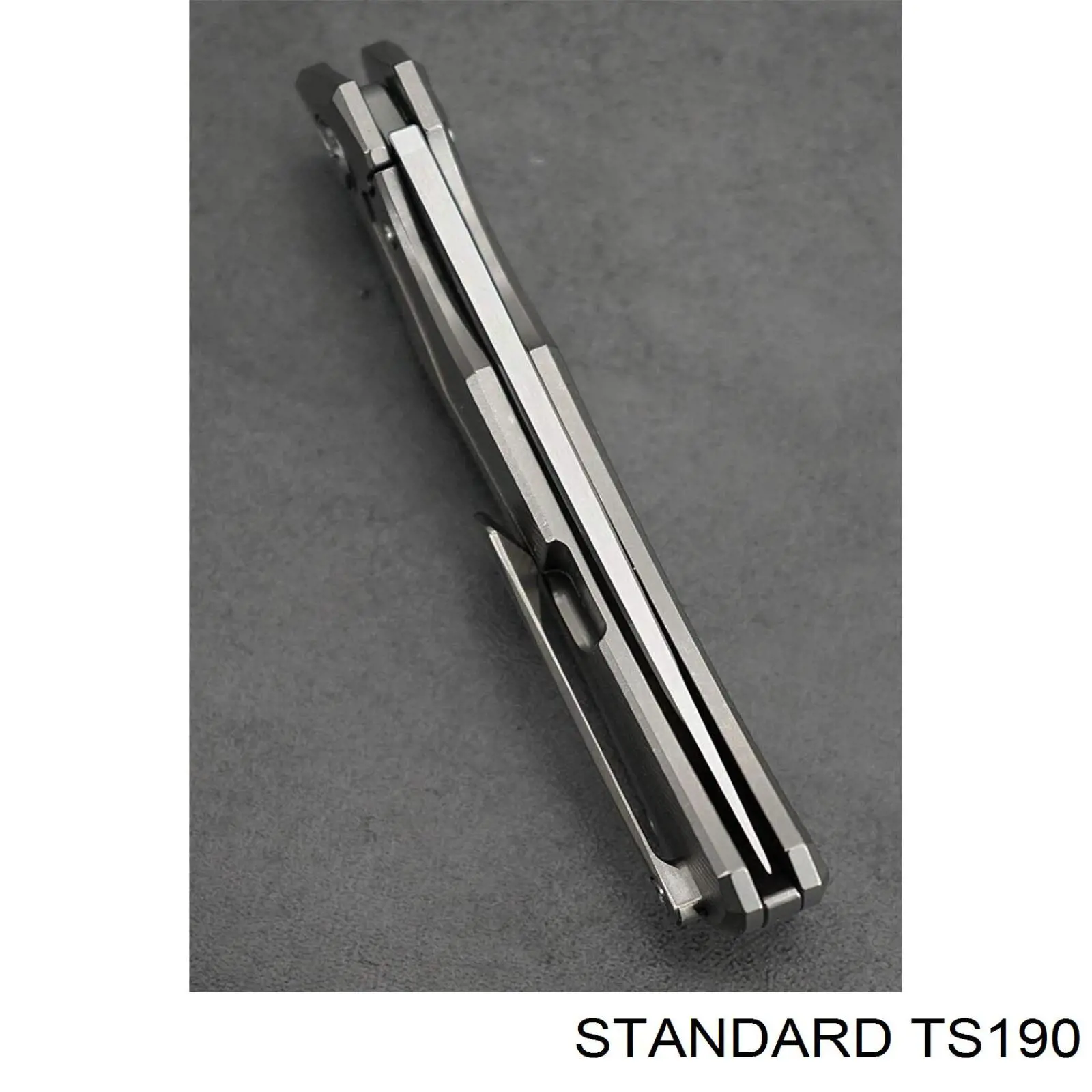 TS190 Standard Термовыключатель