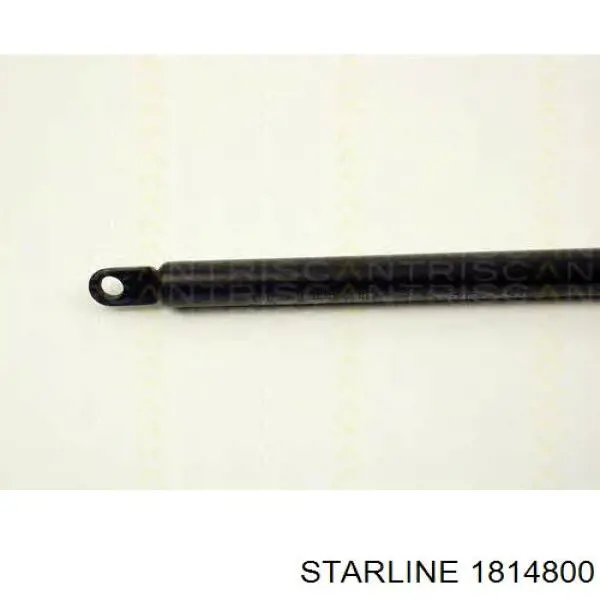 1814800 Starline 