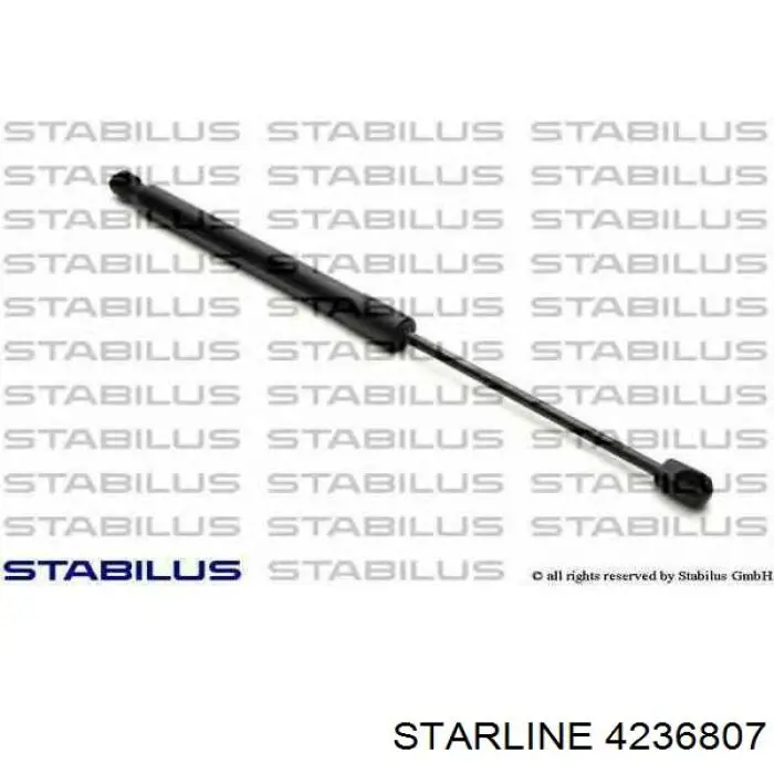 4236807 Starline 