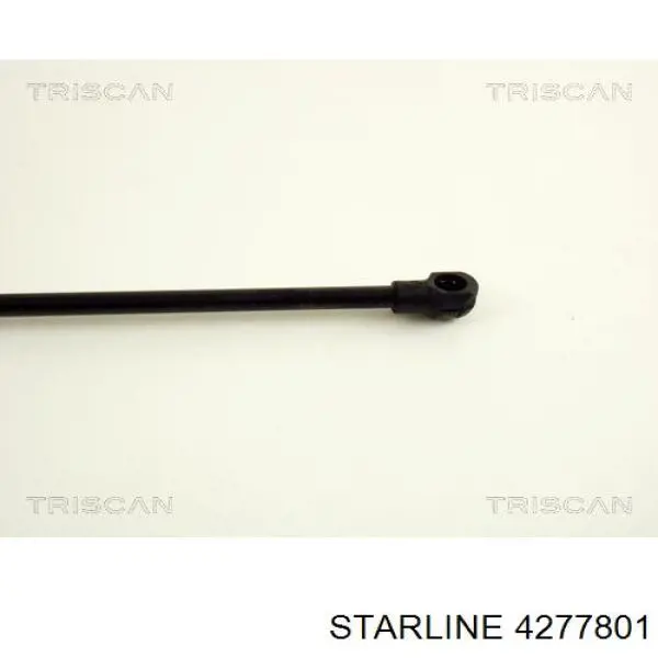 Амортизатор задней двери Starline 4277801 цена, от 8.24 USD