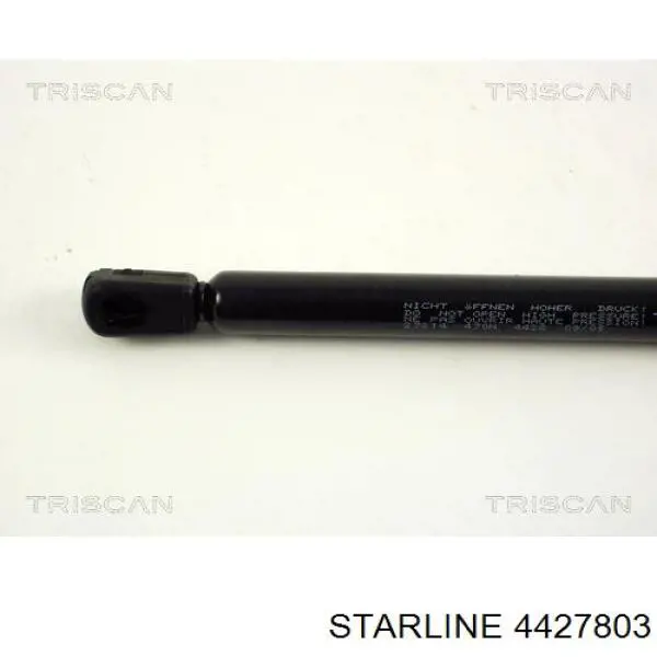 4427803 Starline 