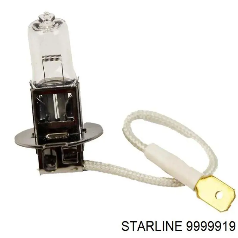  9999919 Starline