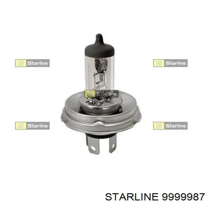 Лампочка ближнего света Starline 9999987 цена, от 4.05 USD