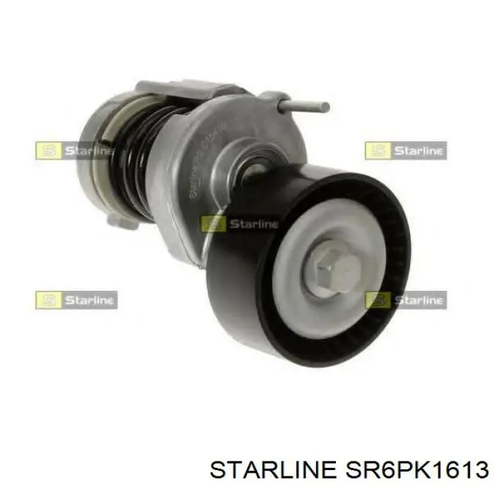 Клиновый ремень Starline SR6PK1613 цена, от 14.12 USD