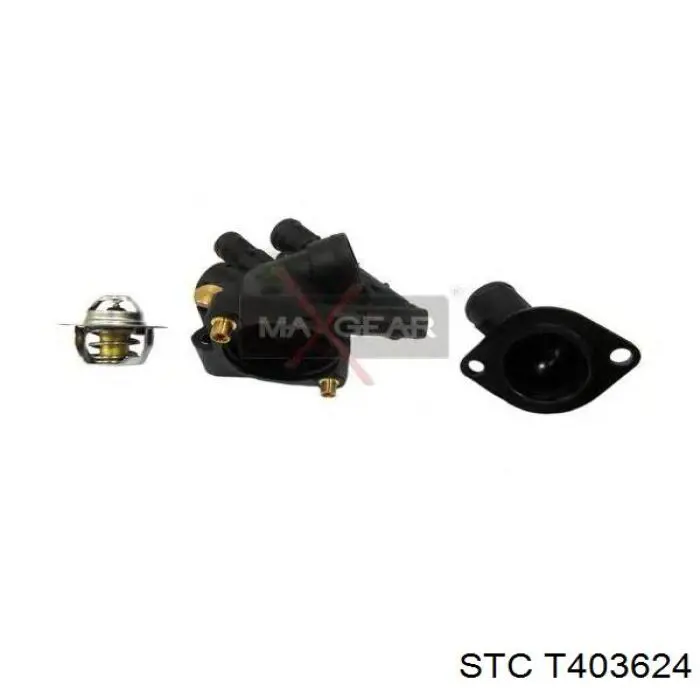 Купить T403624 STC Корпус термостата