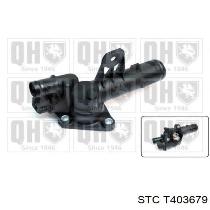 Купить T403679 STC Автомобильный термостат