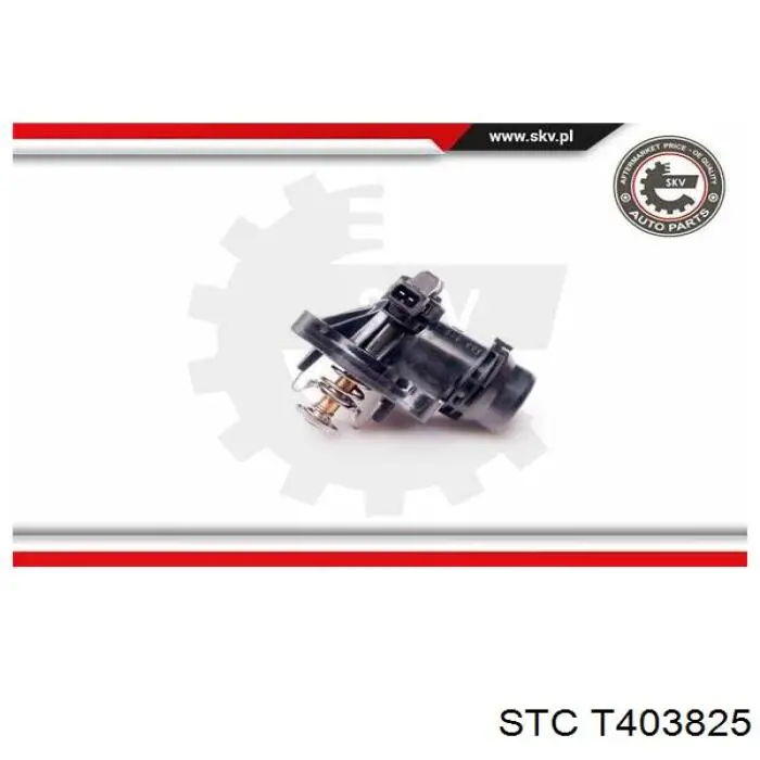 Купить T403825 STC Автомобильный термостат