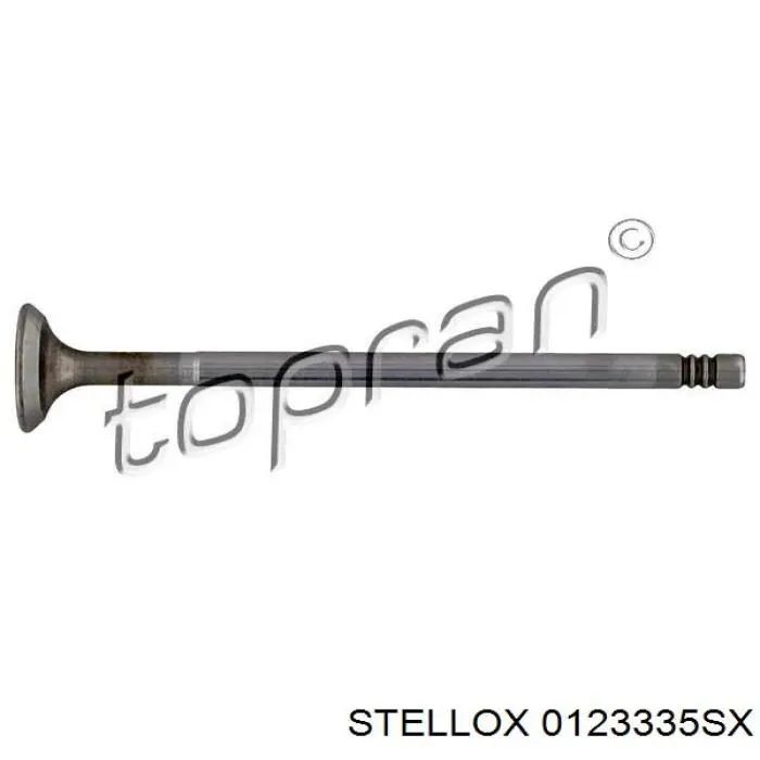 Купить 55219966 Fiat/Alfa/Lancia Впускной клапан
