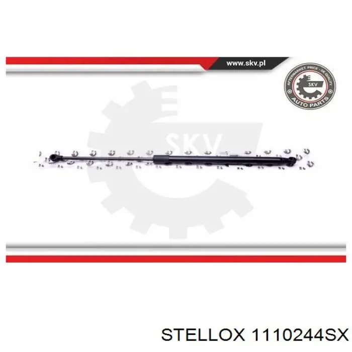 Амортизатор задней двери VAG 8D9827552D цена, от 12.92 USD