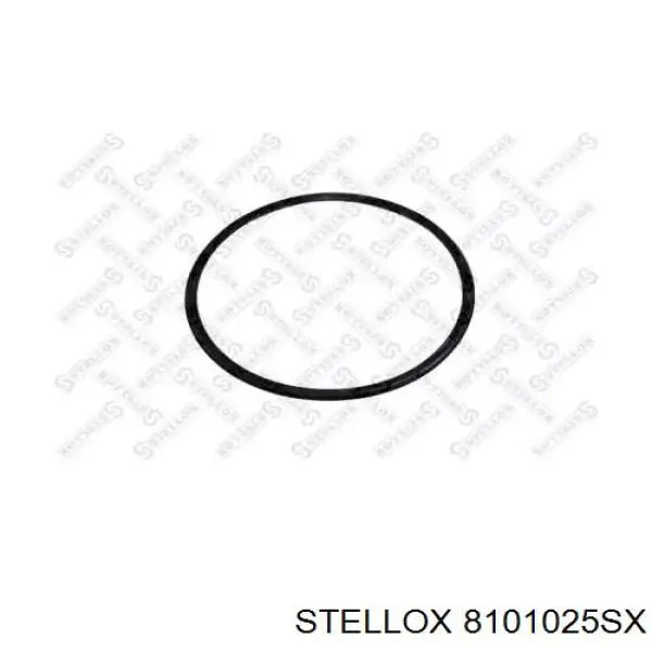 Купить 7403199066 Renault (RVI) Кольцо стопорное подшипника задней ступицы