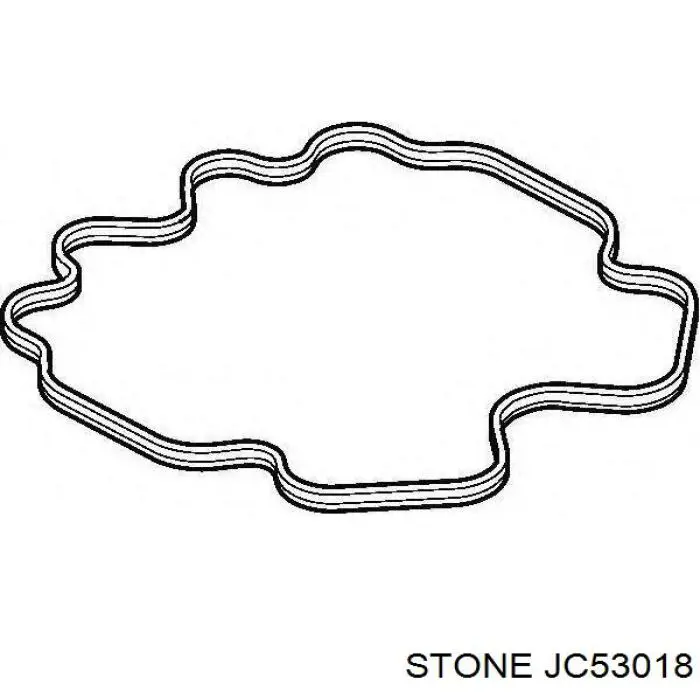 Прокладка клапанной крышки JC53018 Stone