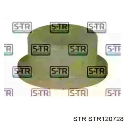  STR120728 STR