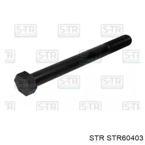 Палец передней рессоры передний 7421041753 Renault (RVI)