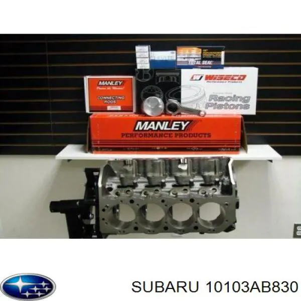  10103AC020 Subaru