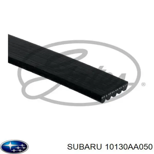 10130AA050 Subaru Поликлиновый ремень