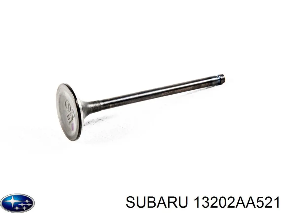  13202AA521 Subaru