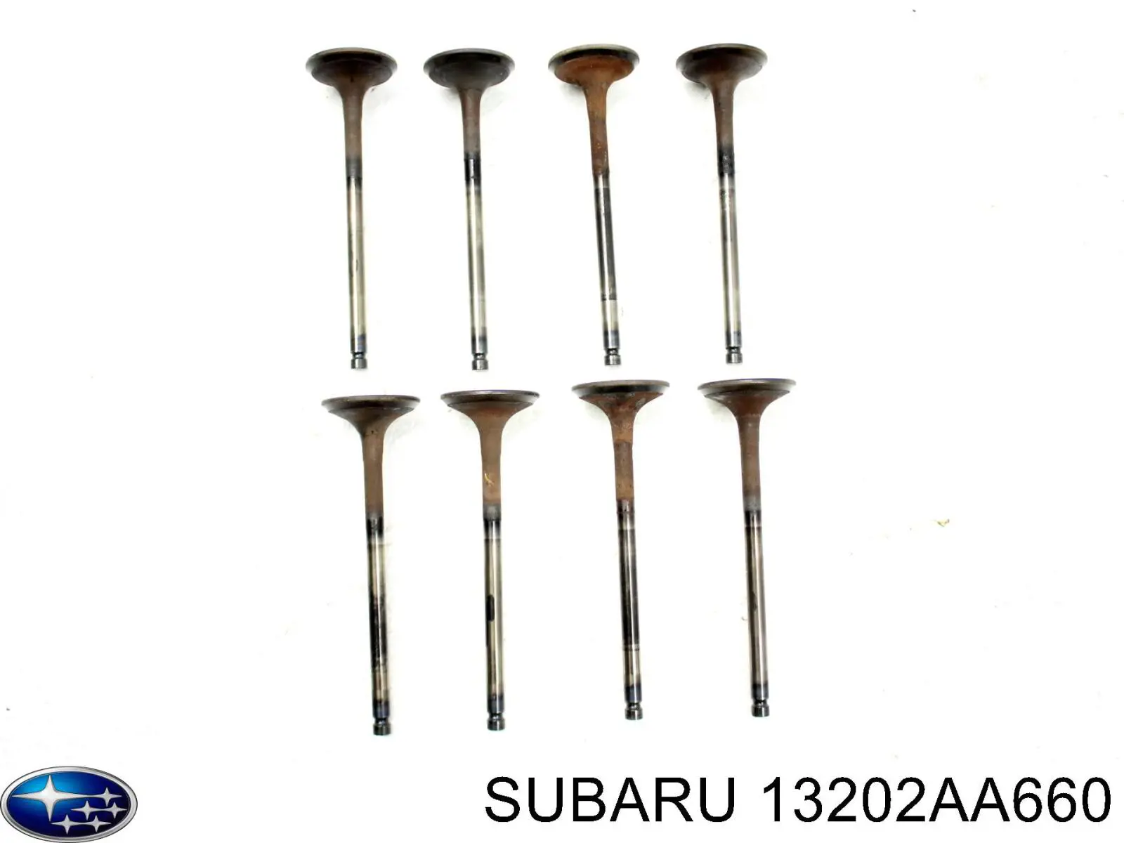 13202AA660 Subaru