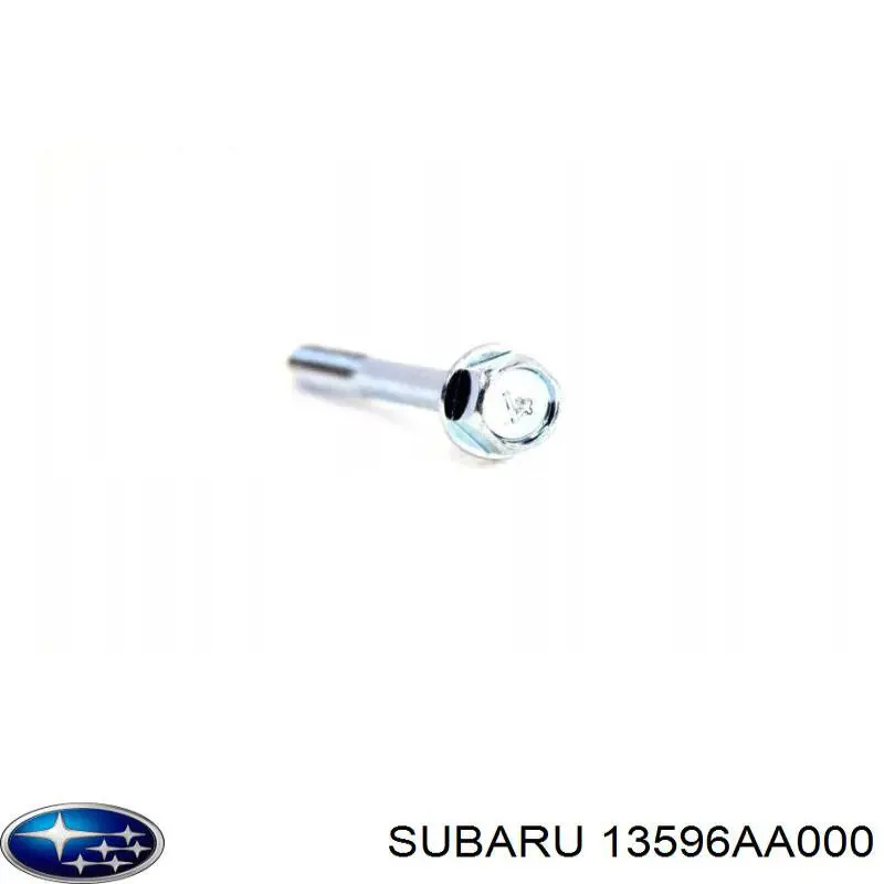  13596AA000 Subaru