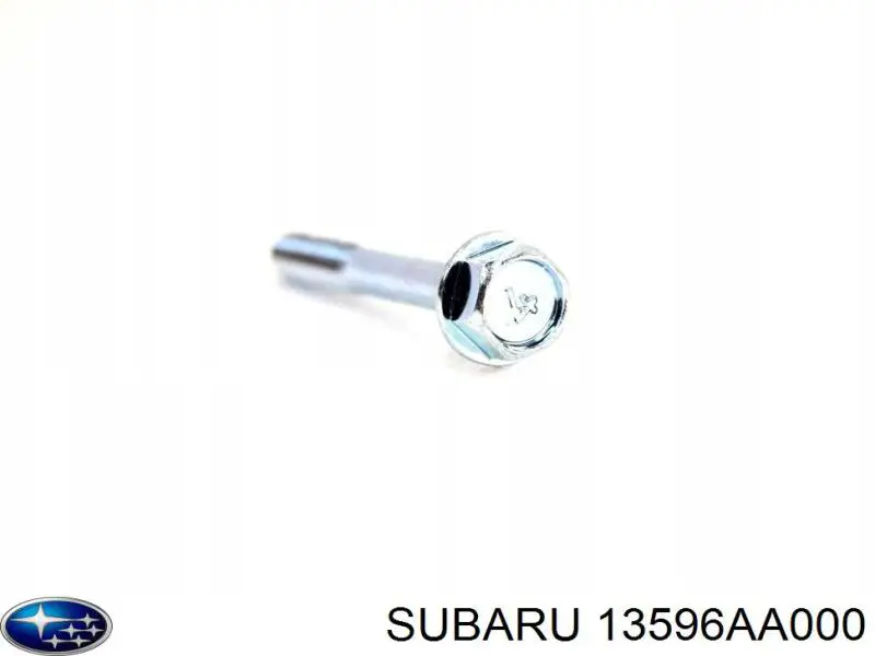  13596AA000 Subaru
