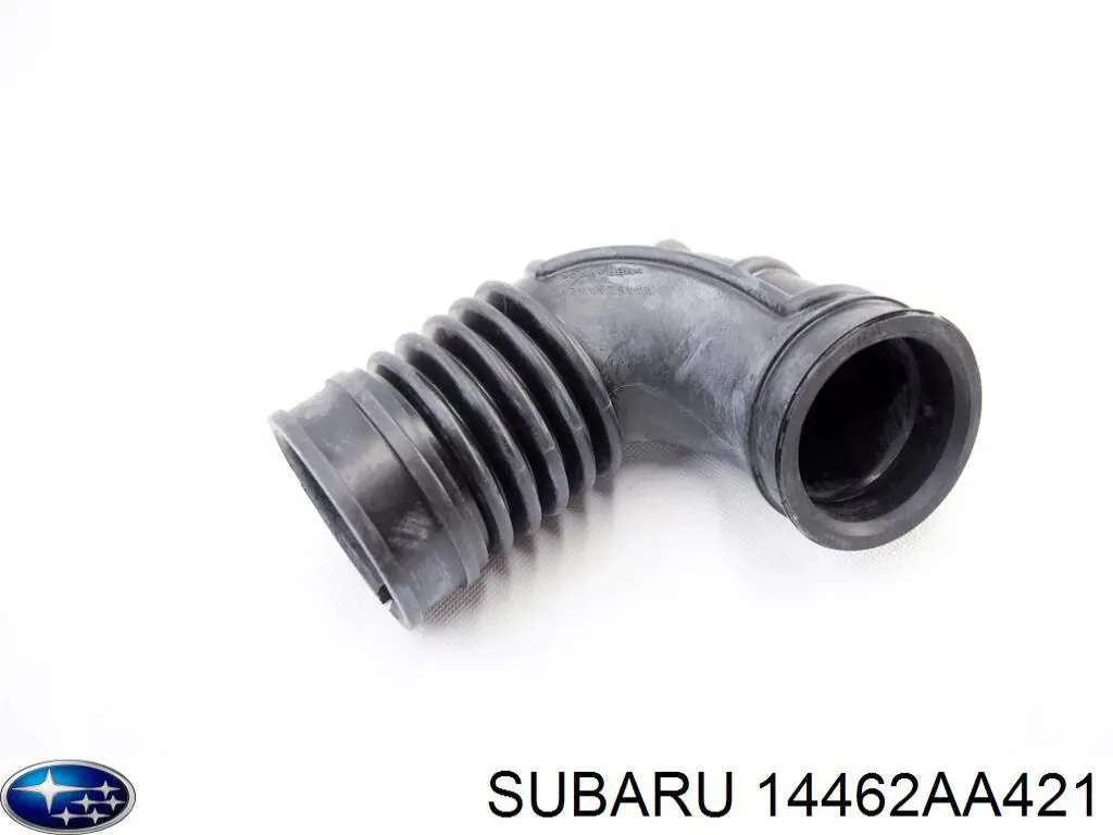  14462AA421 Subaru