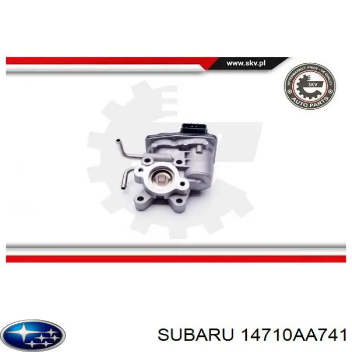 Compre DRM131102 Dr.motor Válvula EGR de recirculação dos gases