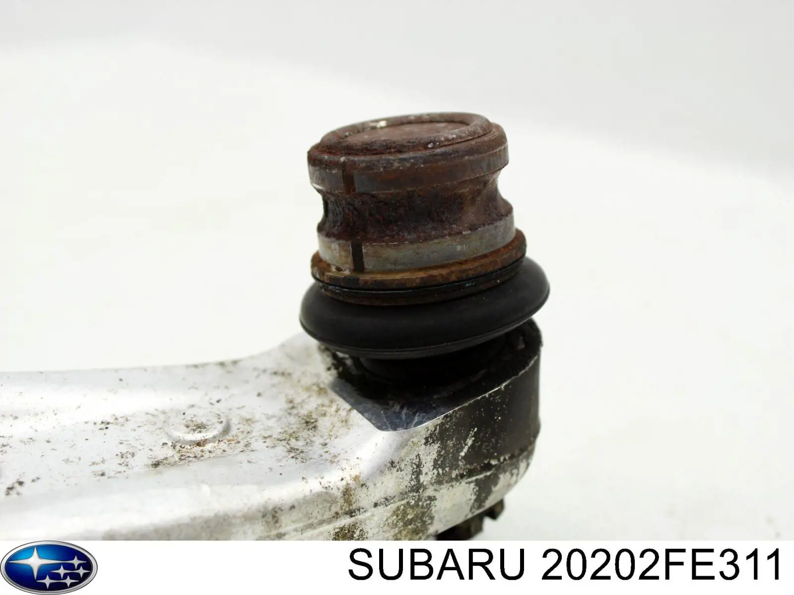 20202FE311 Subaru 