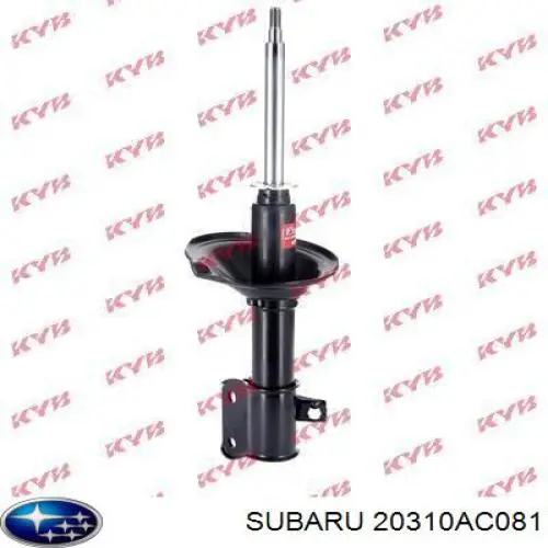  20310AC081 Subaru