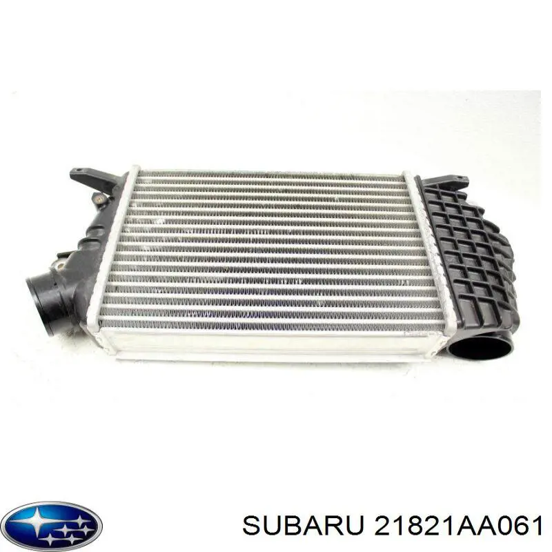  21821AA061 Subaru