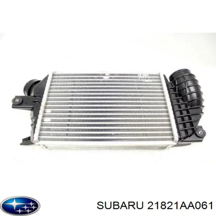  Subaru 21821AA061