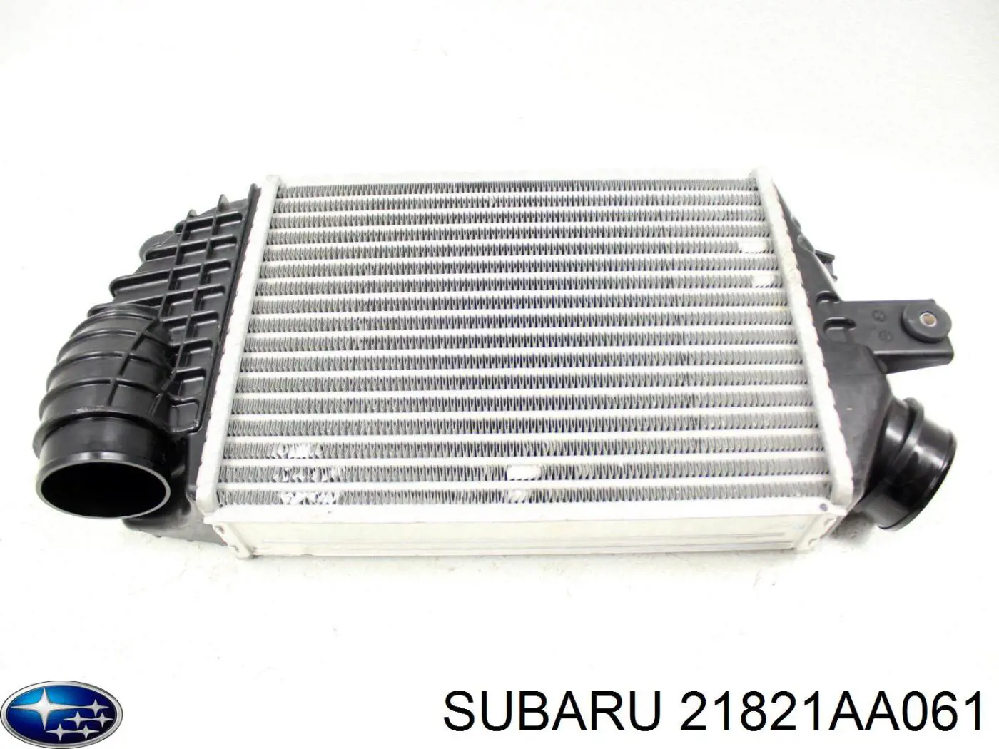 21821AA061 Subaru 
