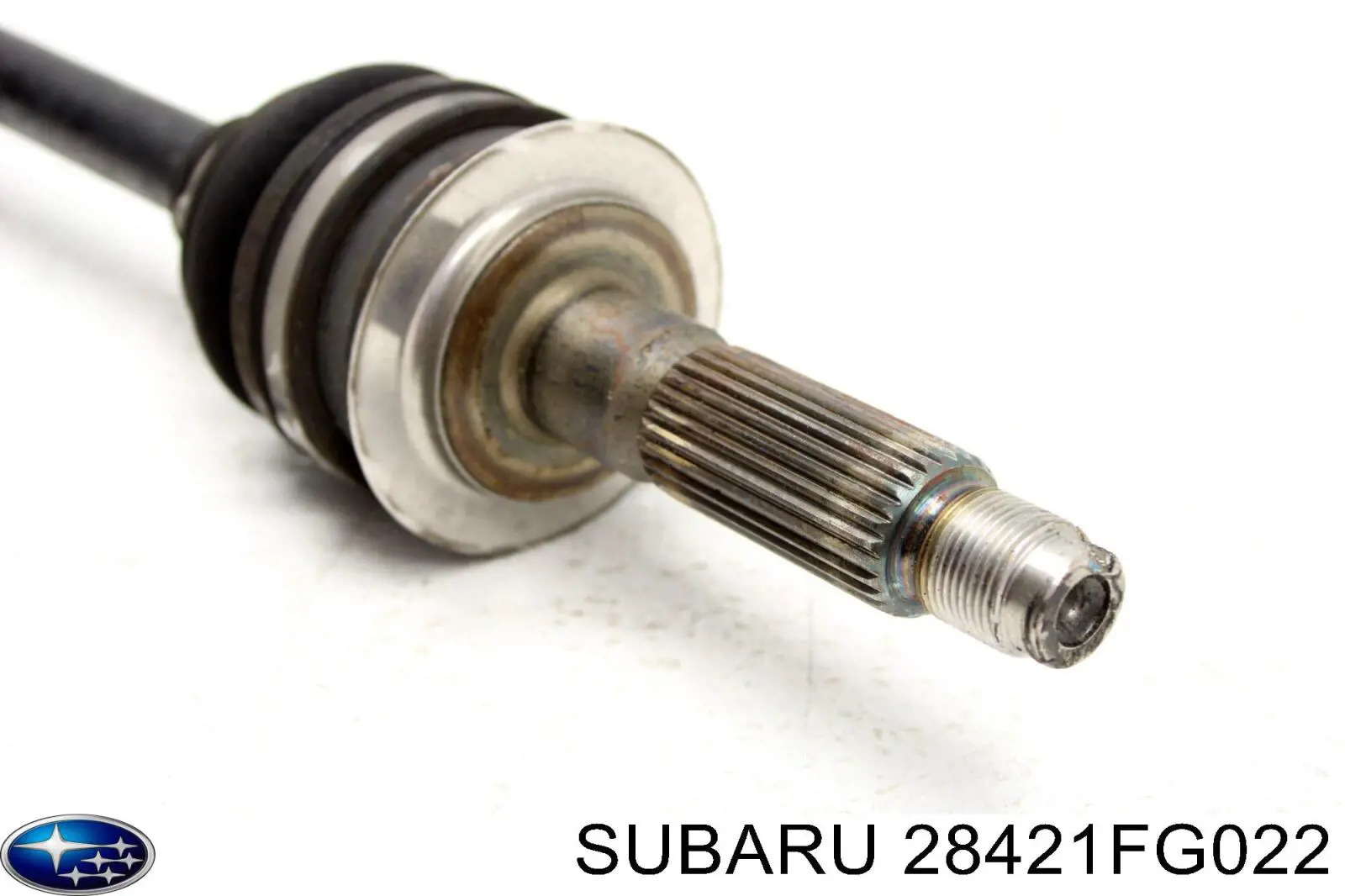  28421FG022 Subaru