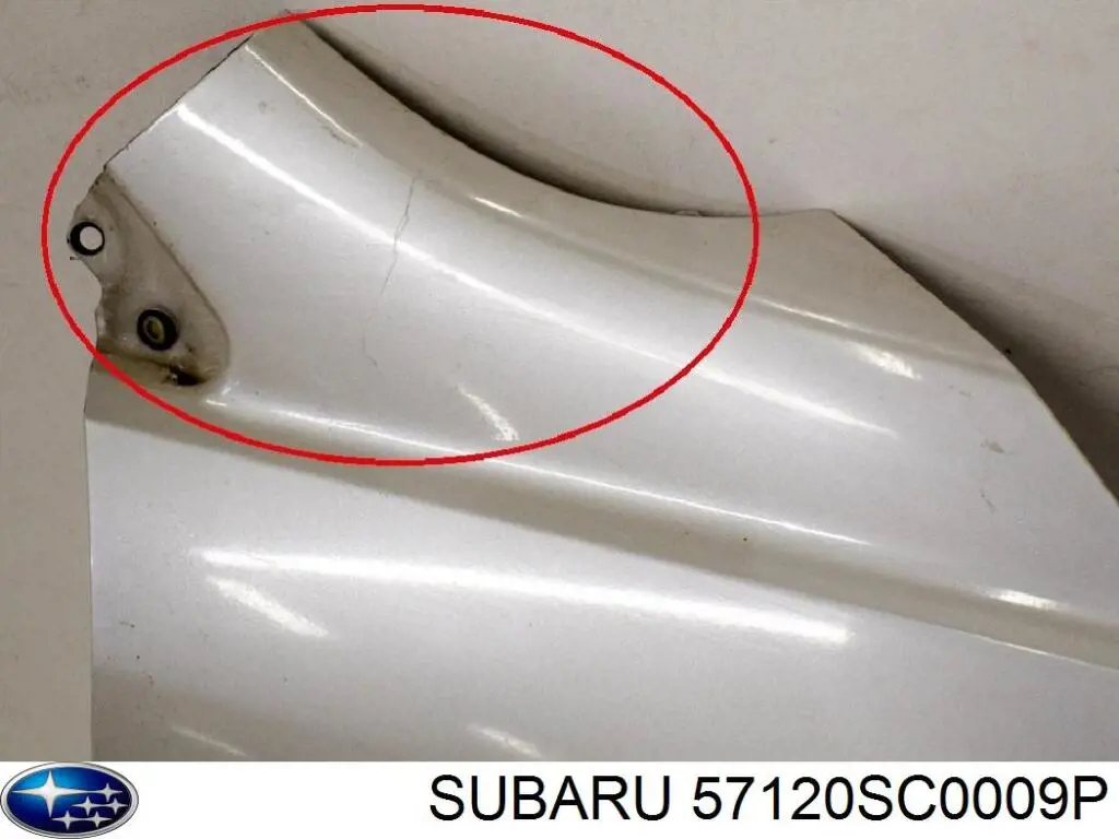 Крыло переднее левое FPS FP6717313 цена, от 52.24 USD