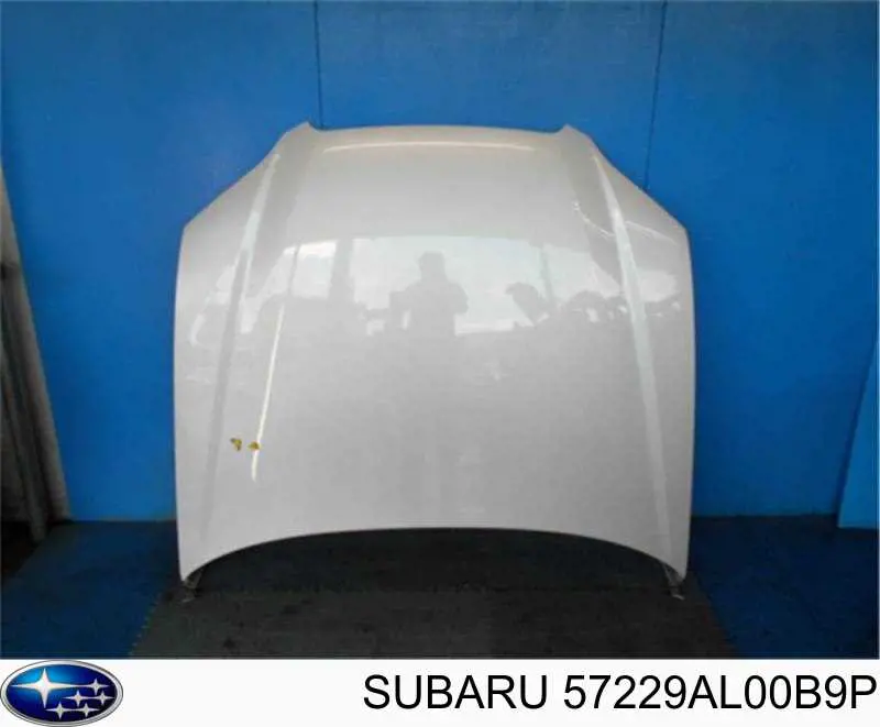 72D103 Polcar Капот