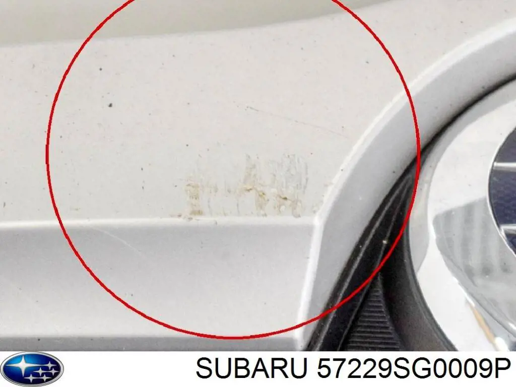 57229SG0009P Subaru капот