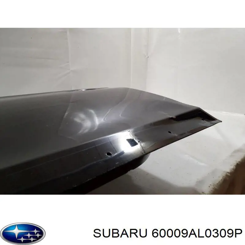  Subaru 60009AL0309P цена, от 823.84 USD