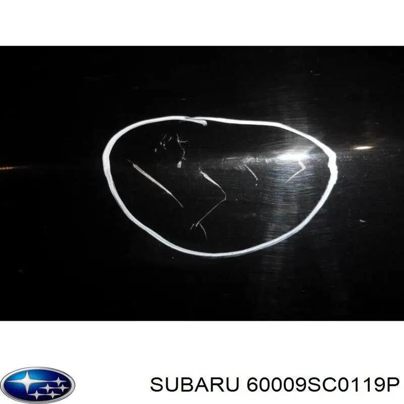 Дверь передняя левая 60009SC0119P Subaru
