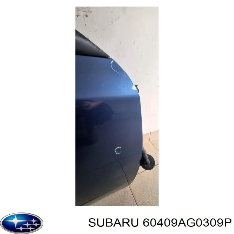 60409AG0309P Subaru porta traseira esquerda