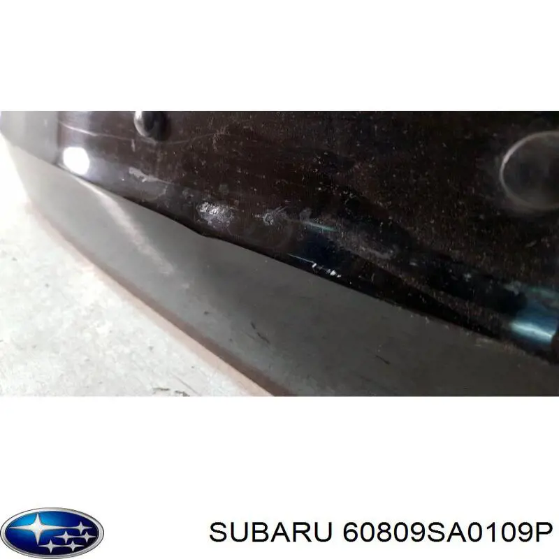 60809SA0109P Subaru Задняя дверь