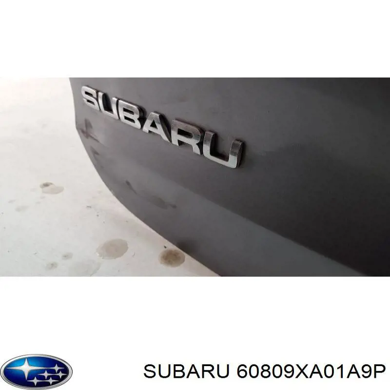 60809XA01A9P Subaru 